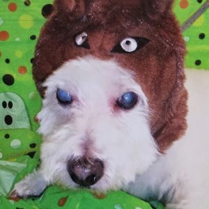 Meet your Posher, Stefanie